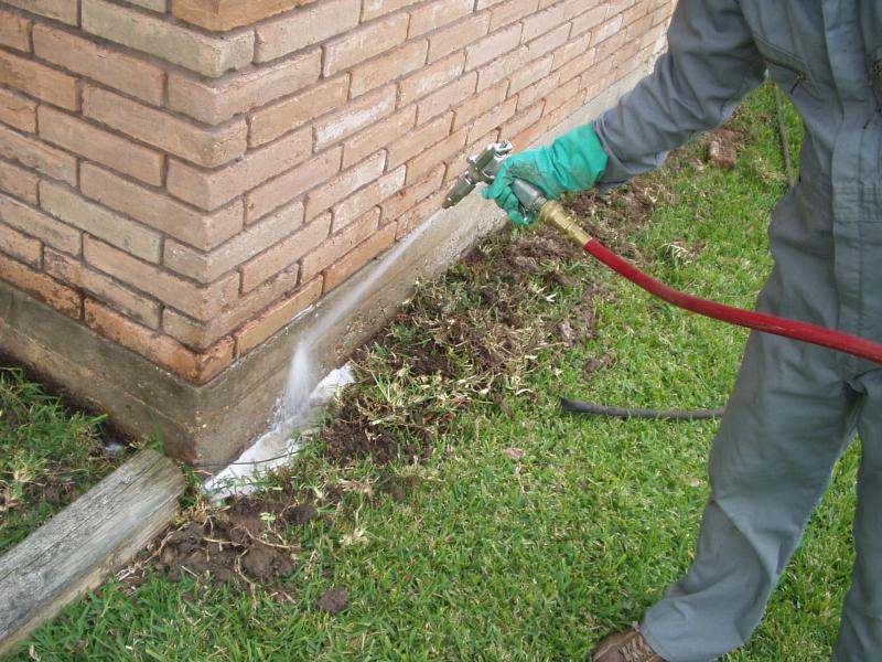 EntoLogic pest control technician performing termite inspection