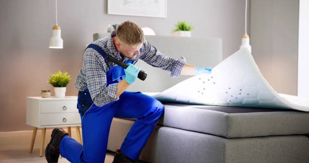 How Heat Treatments Help Reduce Reinfestation Risks