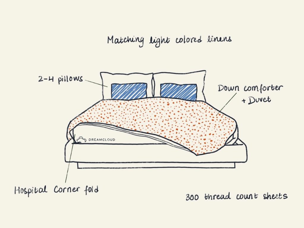 How Do Bed Bugs Control Services Prevent Reinfestation After Initial Treatment?